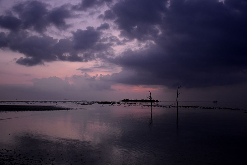 潛水教練被震撼的反思：當大自然消失，人類又能如何存活？_img_4