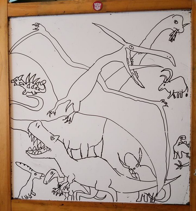 「我會像恐龍一樣勇敢!」她才10歲,溫暖貼圖感動無數人_img_7