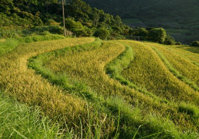 三芝共榮社區暨安康社區　重生邁向里山願景