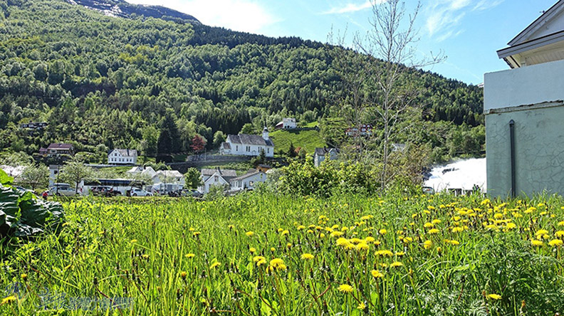 旅遊界聖經Lonely Planet評北歐最棒：蓋朗格峽灣_img_15