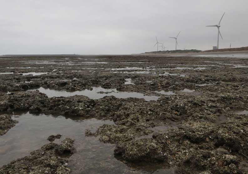 讓環保署副座詹順貴丟官的觀塘環評案，到底在吵什麼？_img_4