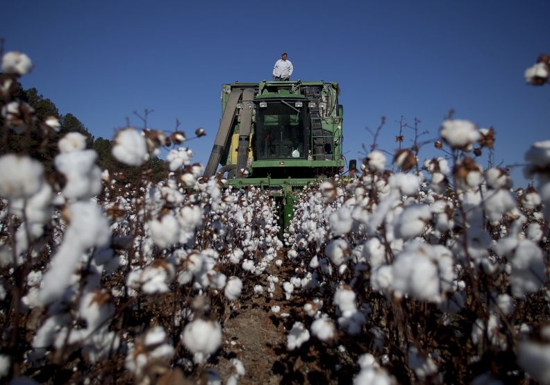 光鮮亮麗背後的悲歌!快時尚極力隱瞞的險惡真相_img_6