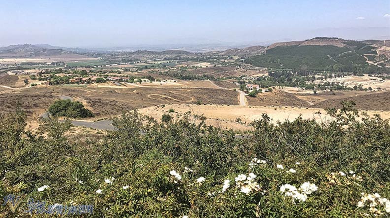 雷根圖書館「三寶」，連空軍一號也拉來展示_img_25