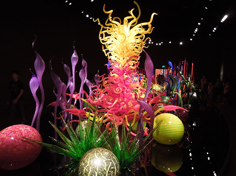 西雅圖最重要的景點之一,驚豔視覺的玻璃花園_img_1