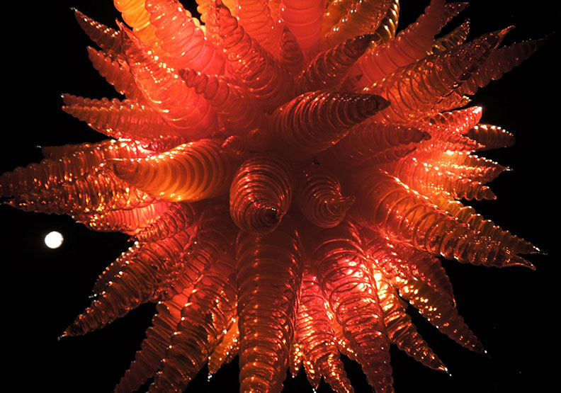 西雅圖最重要的景點之一,驚豔視覺的玻璃花園_img_2