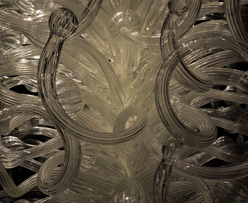 西雅圖最重要的景點之一,驚豔視覺的玻璃花園_img_5