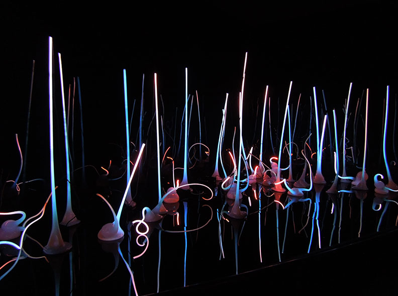 西雅圖最重要的景點之一,驚豔視覺的玻璃花園_img_6