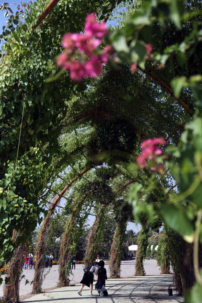 台中花博冠名「世界」,名稱大有玄機?_img_5