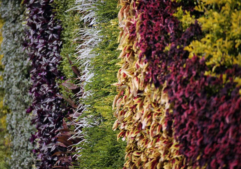 台中花博冠名「世界」,名稱大有玄機?_img_4