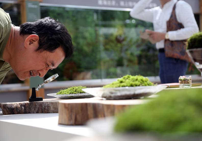 台中花博冠名「世界」,名稱大有玄機?_img_3