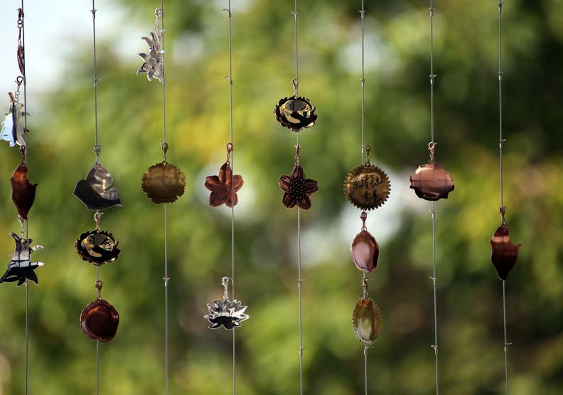 台中花博冠名「世界」,名稱大有玄機?_img_10