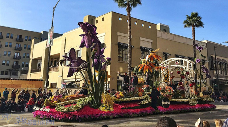 前一天卡位才有好景?洛杉磯玫瑰花車遊行全攻略_img_2