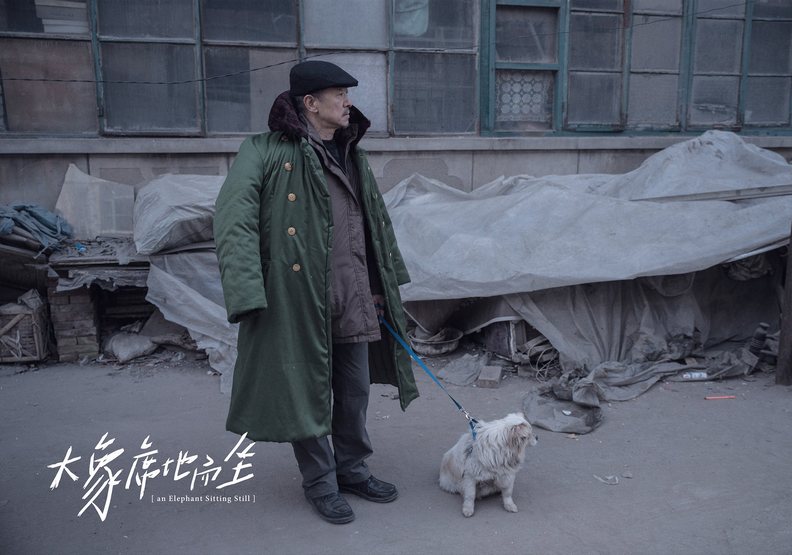 《大象席地而坐》:人生就像荒原,在尋覓一段沒有方向的路_img_4