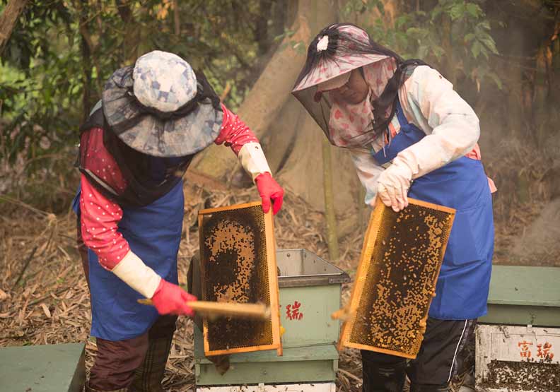 「蜂蜜檸檬水」爆紅,讓這家企業訂單接不完_img_4