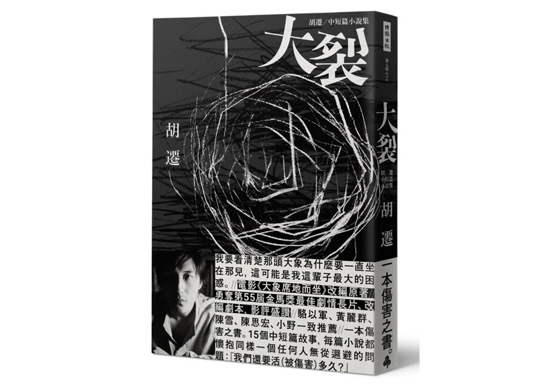 胡波《大象席地而坐》：我不覺得人什麼時候舒服過_img_1