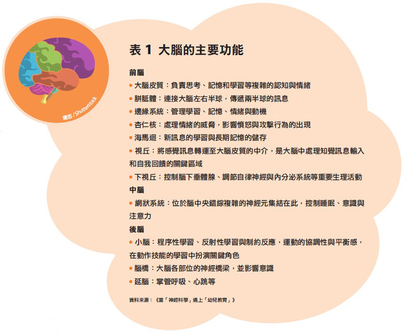 大腦有優劣之差?認清孩子的特質,就是父母最勇敢的表現_img_1