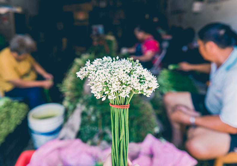 再討厭摀著鼻都要來!聽說韭菜花美到會「下雪」_img_7