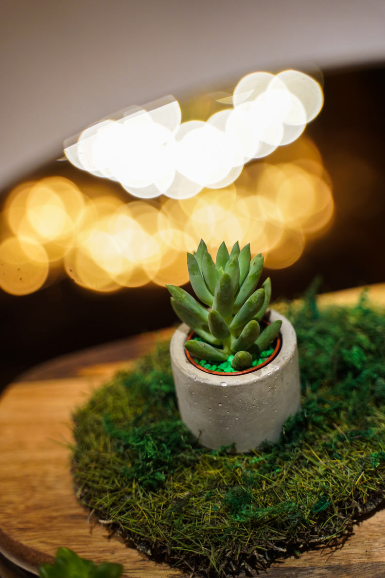 辜成允生前的遺願，靠台泥研發的這碗麵達成了_img_6