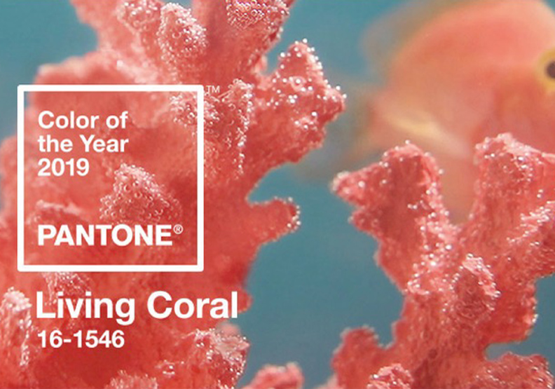 source:pantone