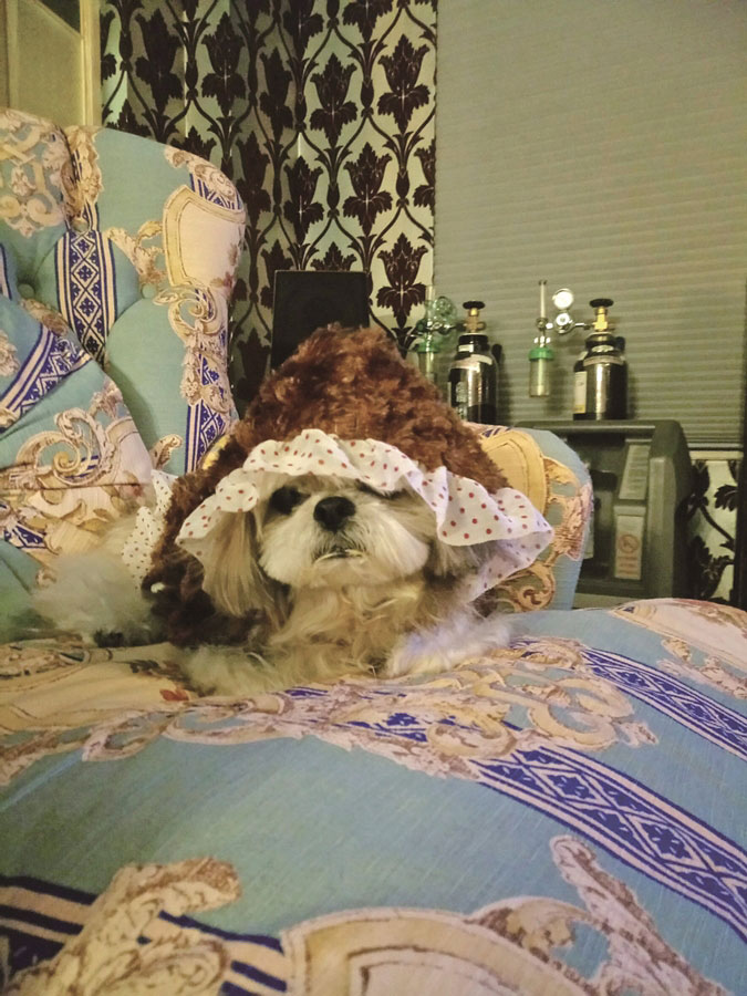 這就是母愛!每個毛孩子媽媽都會記得的事_img_1