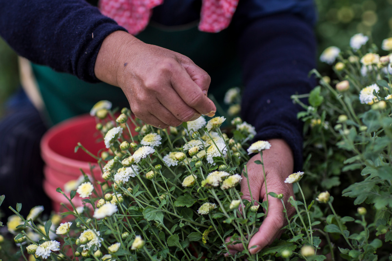 返鄉深耕在地價值，「地方創生」翻轉農村經濟_img_1