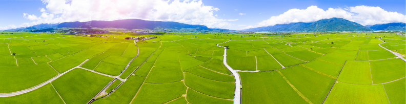 返鄉深耕在地價值，「地方創生」翻轉農村經濟_img_3