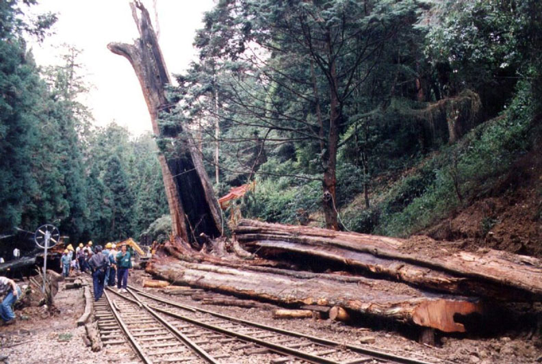 政府的大煩惱!野柳女王頭該讓她隨風遠去嗎?_img_5