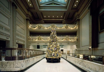 聖誕樹教她的三個體悟，主管忍不住讚歎了