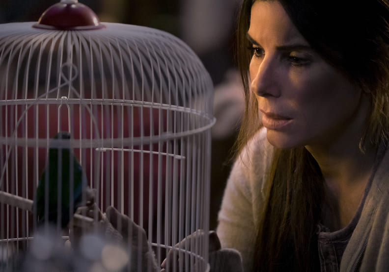 比《噤界》還猖狂!珊卓布拉克《蒙上你的眼》詮釋失去視覺的驚悚_img_6