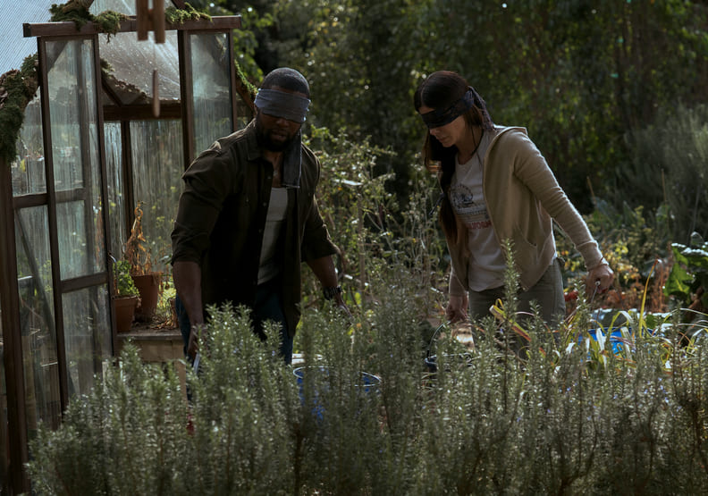 比《噤界》還猖狂!珊卓布拉克《蒙上你的眼》詮釋失去視覺的驚悚_img_5