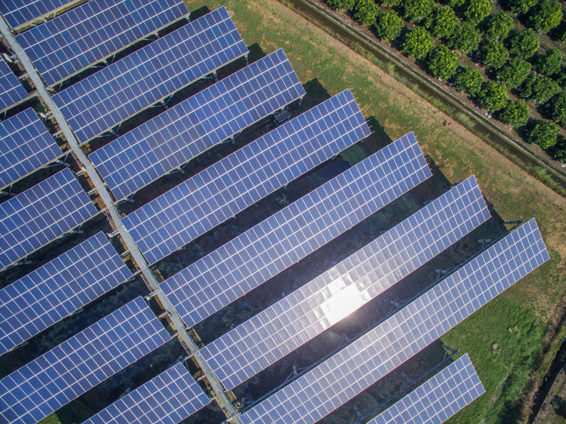 邁向能源轉型 綠能與生態共存可期_img_2