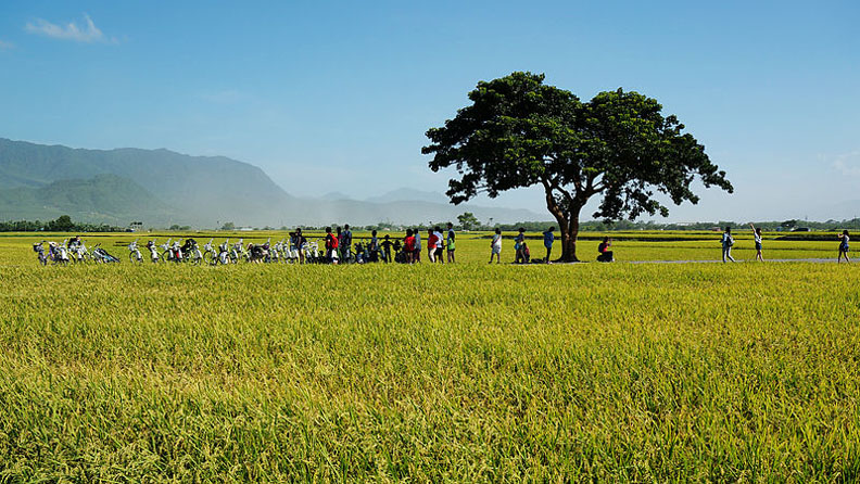 台東不一樣——黃健庭的寧靜革命_img_2