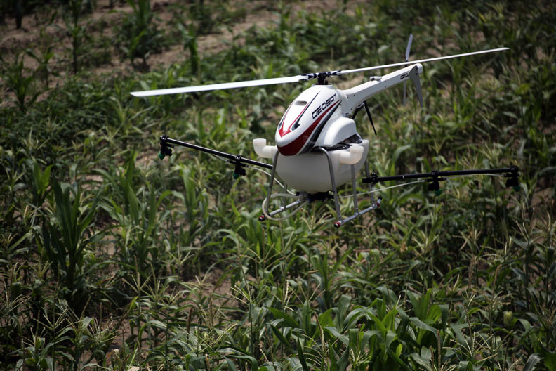 務農不再看天吃飯 要靠「智慧」改變命運_img_1