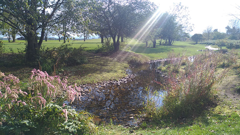 被服務業寵壞的台灣人_img_3