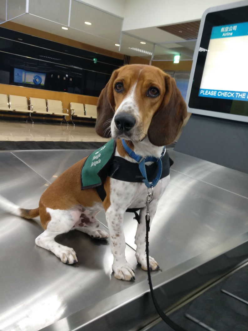 全世界最好職缺!工作四小時還有專屬宿舍、保母…_img_2