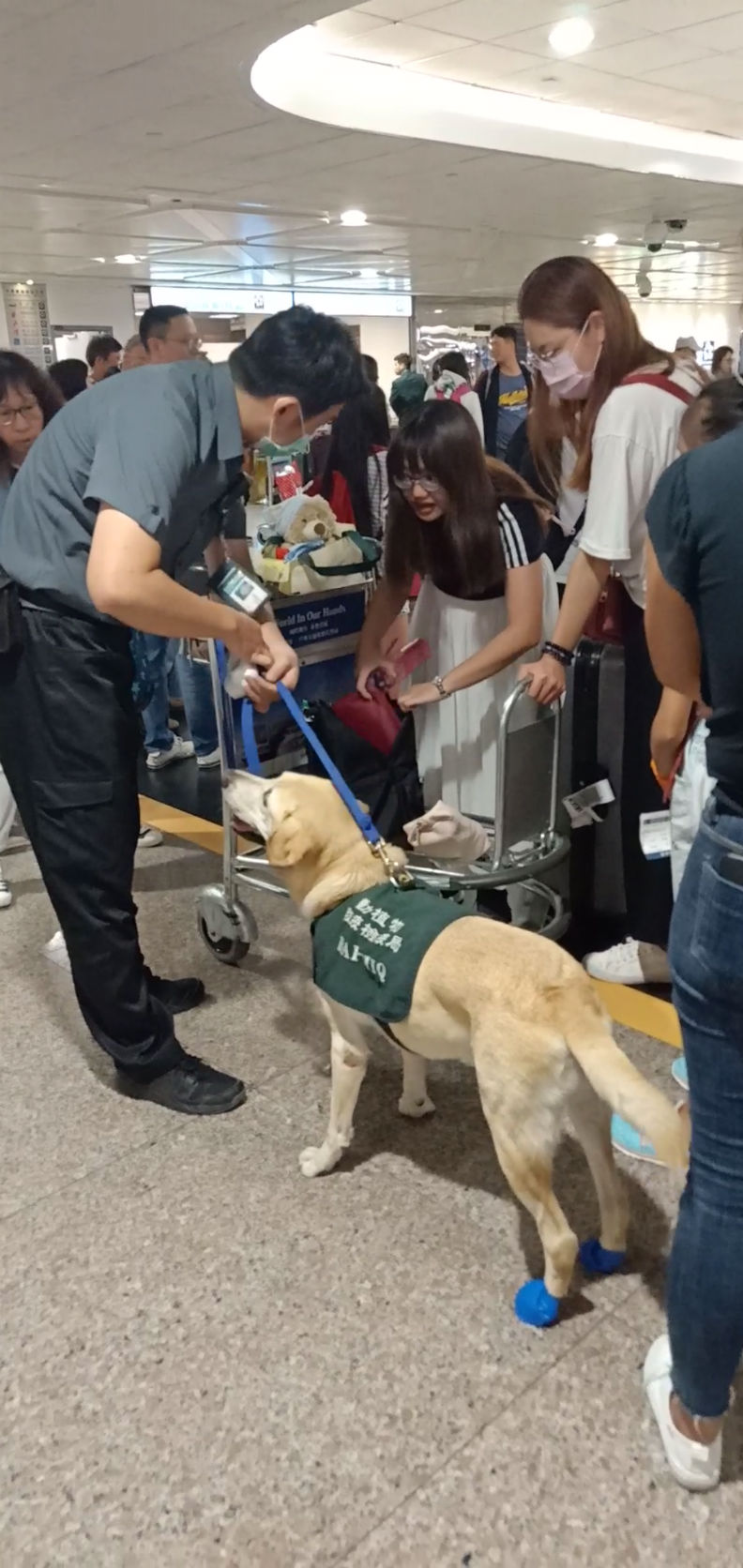 全世界最好職缺!工作四小時還有專屬宿舍、保母…_img_3