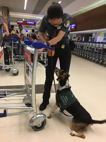 全世界最好職缺!工作四小時還有專屬宿舍、保母…_img_6