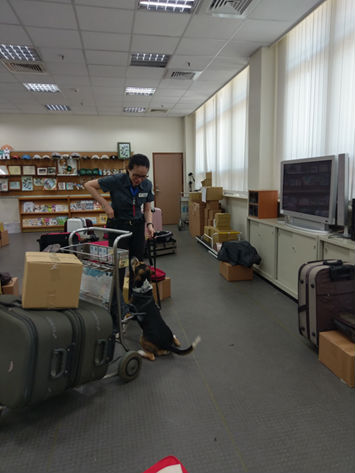 全世界最好職缺!工作四小時還有專屬宿舍、保母…_img_5