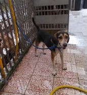 全世界最好職缺!工作四小時還有專屬宿舍、保母…_img_4