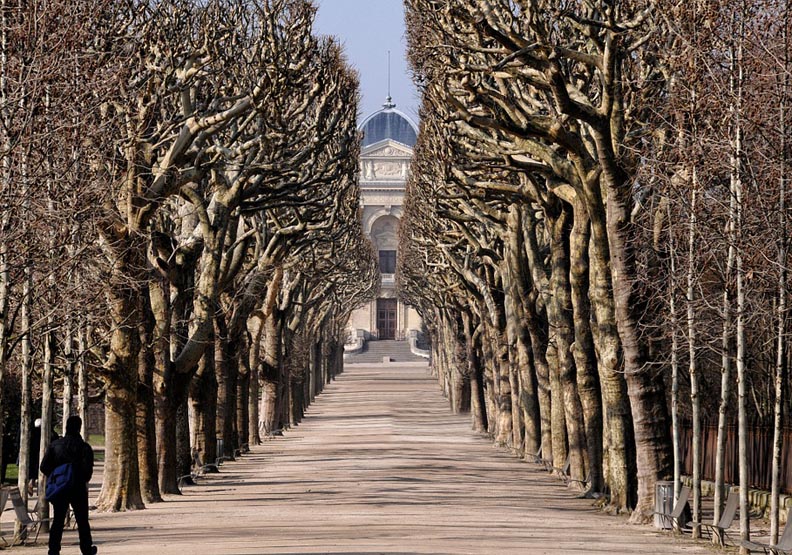 巴黎植物園裡的自然史博物館。圖片來源：pixabay