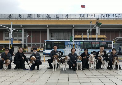 全世界最好職缺！工作四小時還有專屬宿舍、保母…