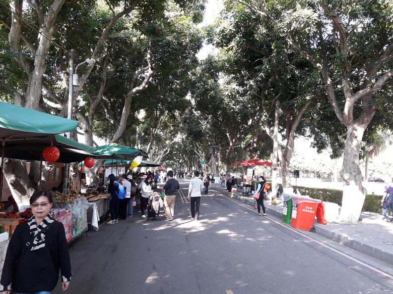 別再說雲林好無聊!20個霸占網紅IG打卡的祕境_img_5