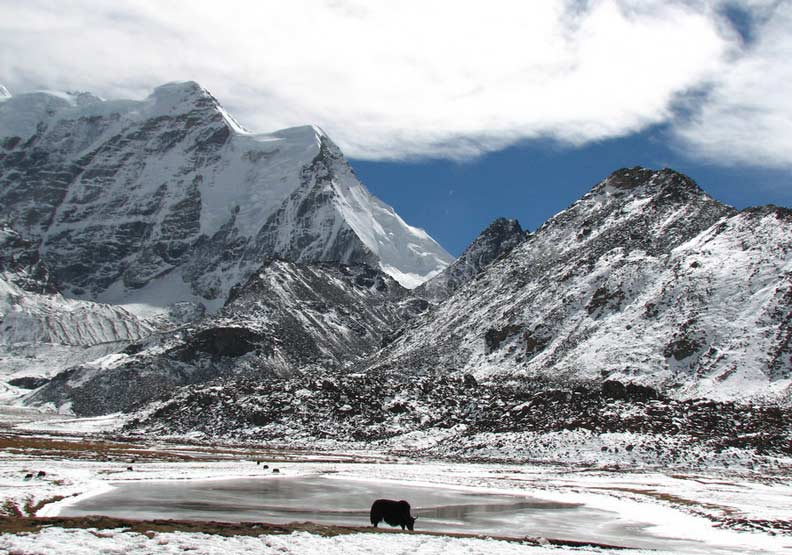 羨慕嗎？這裡人人有房住 還將讓人人有收入_img_1