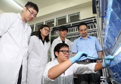 食安帶動產業升級 強化品牌與產品機能性