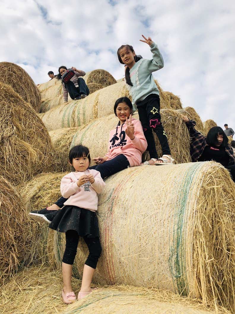 全台唯一雲林稻草山超好玩！卻因「禁菸」假日才開_img_2