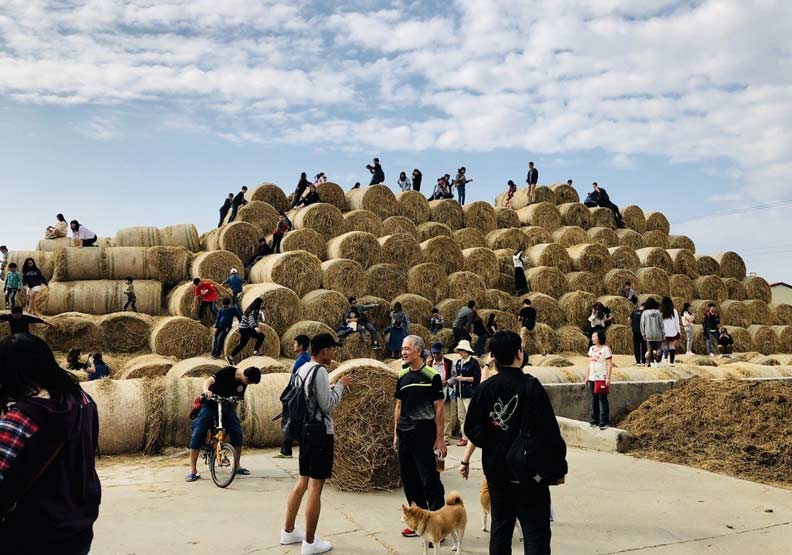 全台唯一雲林稻草山超好玩!卻因「禁菸」假日才開_img_1