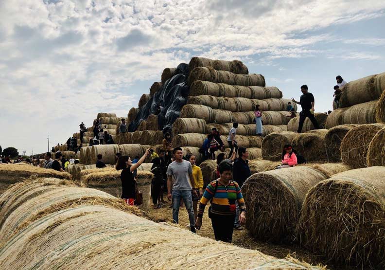 全台唯一雲林稻草山超好玩!卻因「禁菸」假日才開_img_3