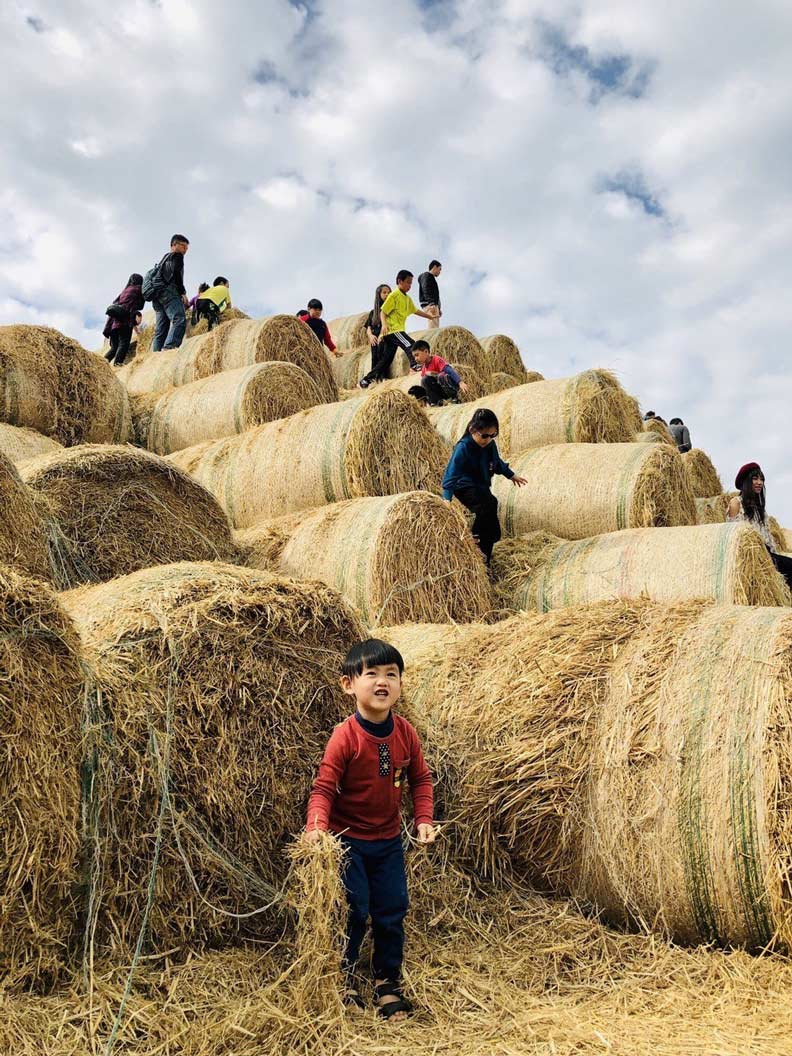 全台唯一雲林稻草山超好玩！卻因「禁菸」假日才開_img_4