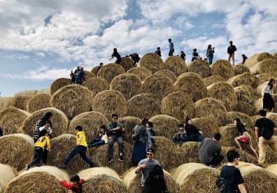 全台唯一雲林稻草山超好玩！卻因「禁菸」假日才開