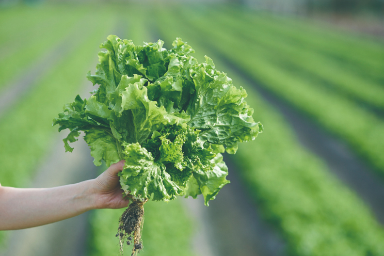 安心 幸福 創新 摩斯漢堡寫下餐飲心境界_img_1